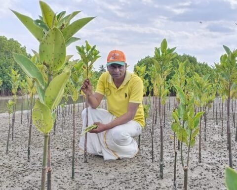 Arjunan Elayaraja