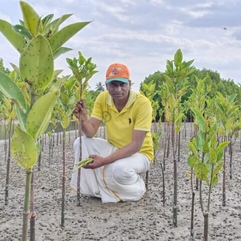Arjunan Elayaraja