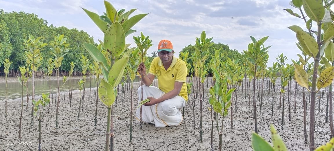 Arjunan Elayaraja