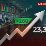 Stock market rallies