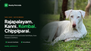 Tamil Nadu's Native Dogs