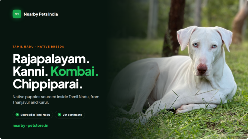 Tamil Nadu's Native Dogs